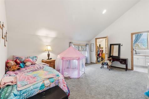 300 Buckeye Creek Road Leadville CO 80461