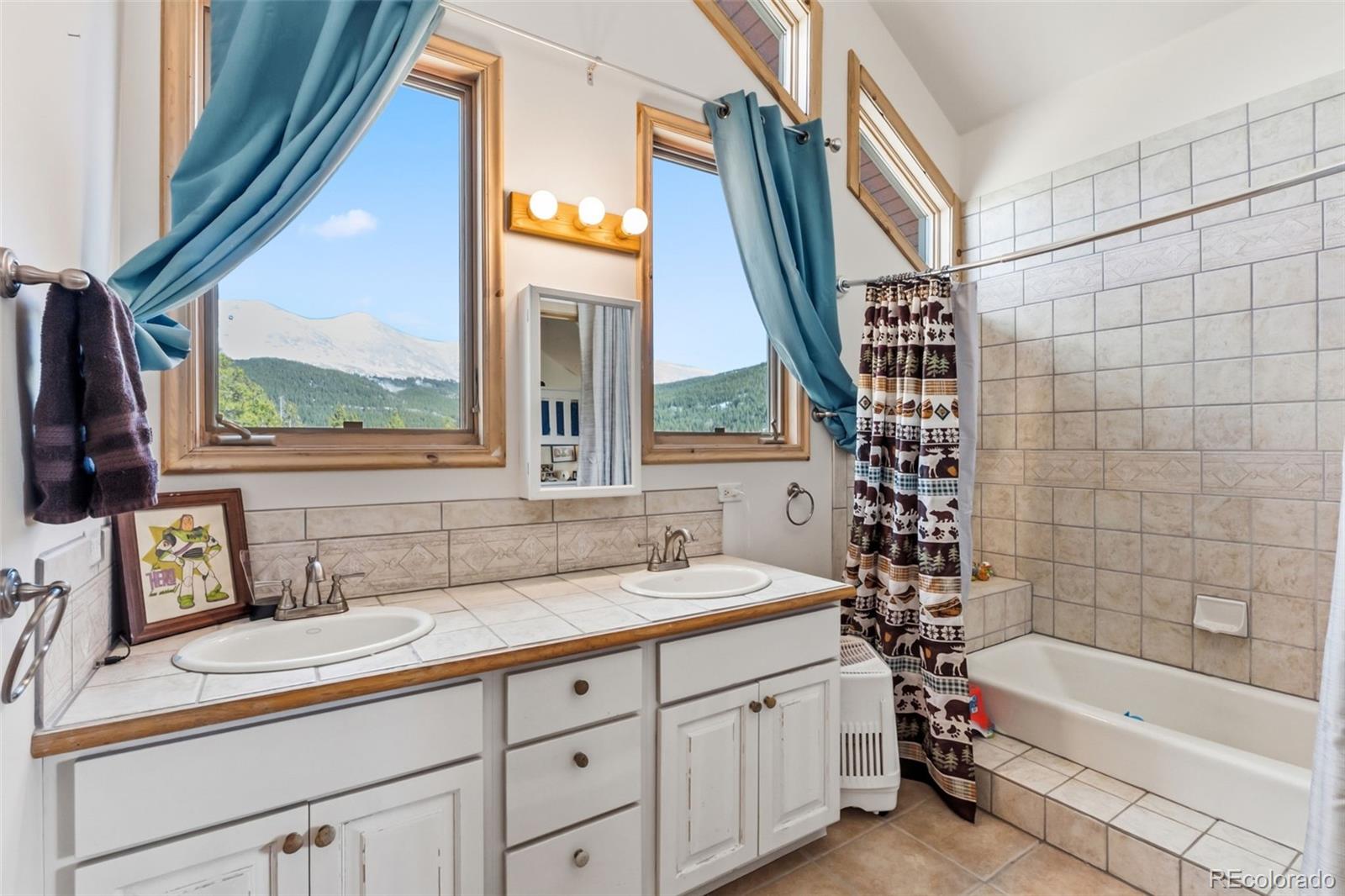 300 Buckeye Creek Road Leadville CO 80461