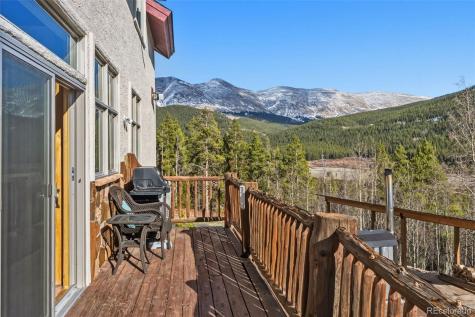 300 Buckeye Creek Road Leadville CO 80461