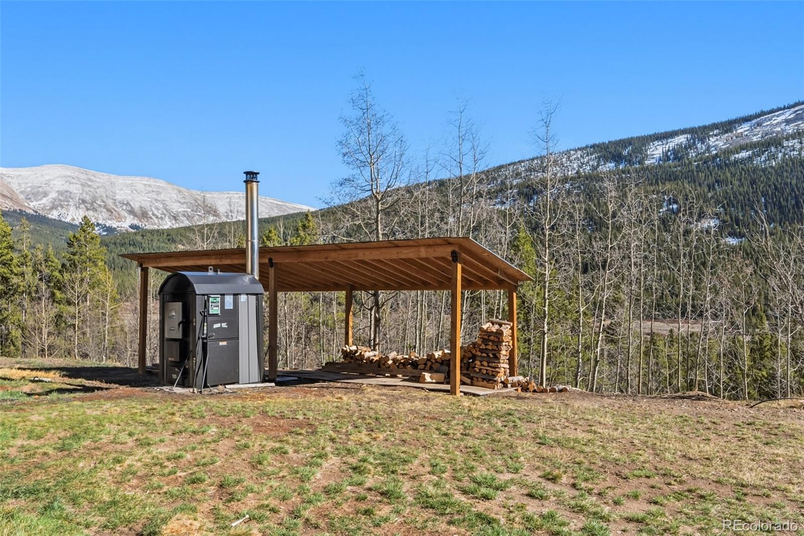 300 Buckeye Creek Road Leadville CO 80461