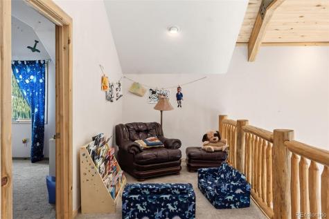 300 Buckeye Creek Road Leadville CO 80461