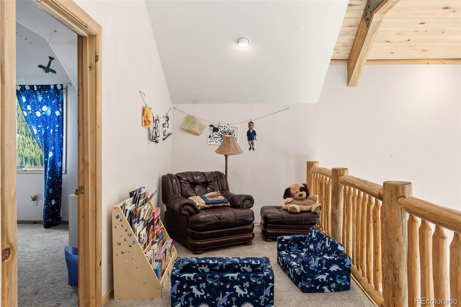 300 Buckeye Creek Road Leadville CO 80461