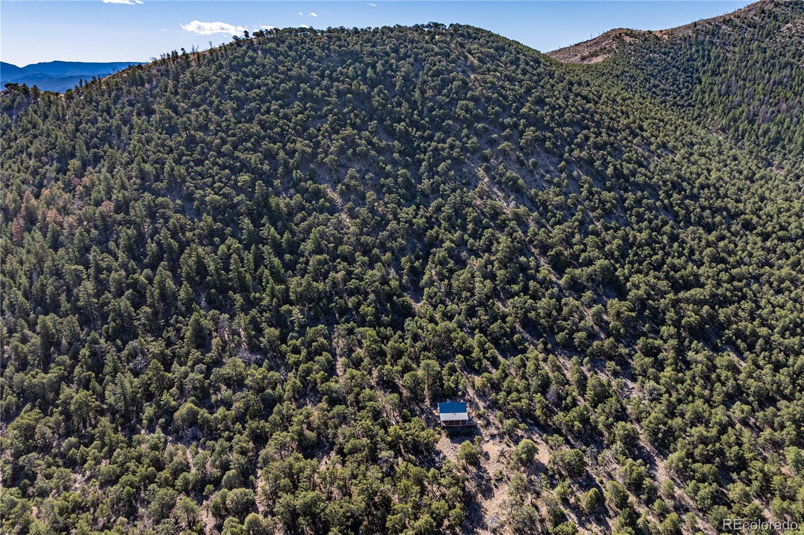 2126 E Path Cotopaxi CO 81223