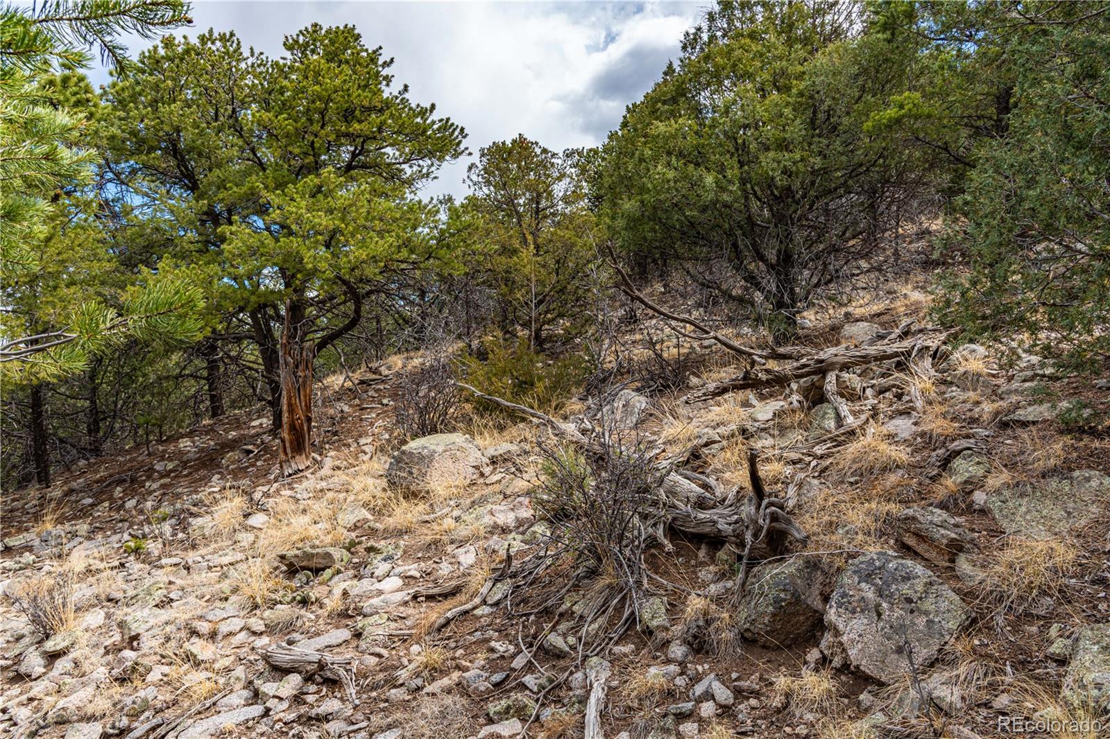 2126 E Path Cotopaxi CO 81223