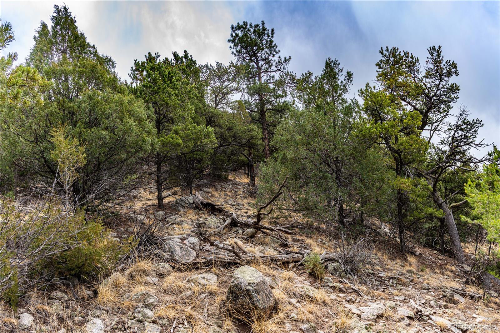 2126 E Path Cotopaxi CO 81223