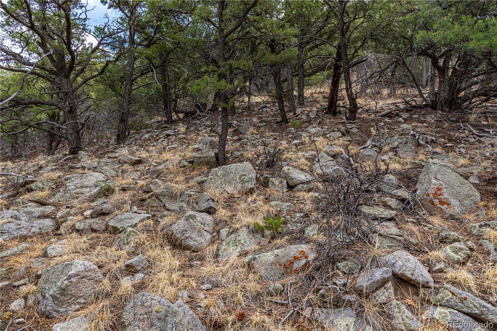 2126 E Path Cotopaxi CO 81223