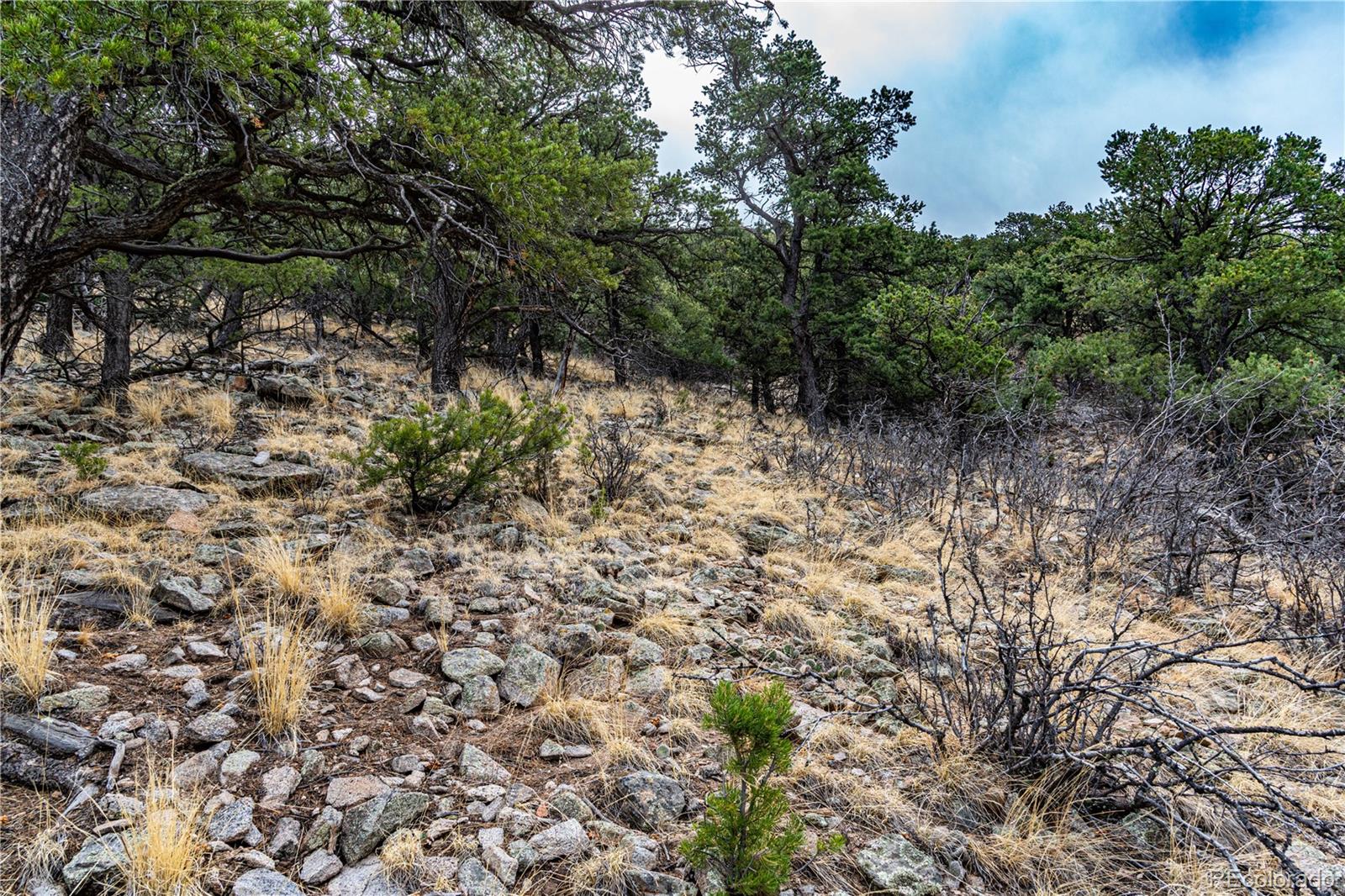 2126 E Path Cotopaxi CO 81223