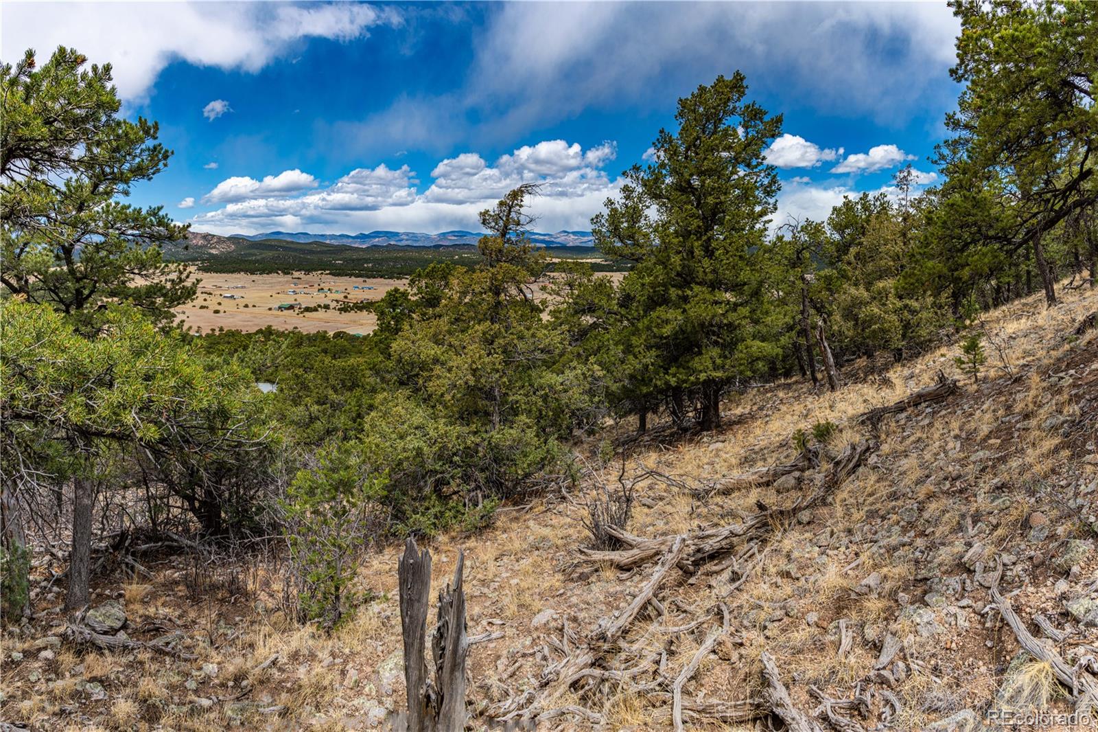 2126 E Path Cotopaxi CO 81223