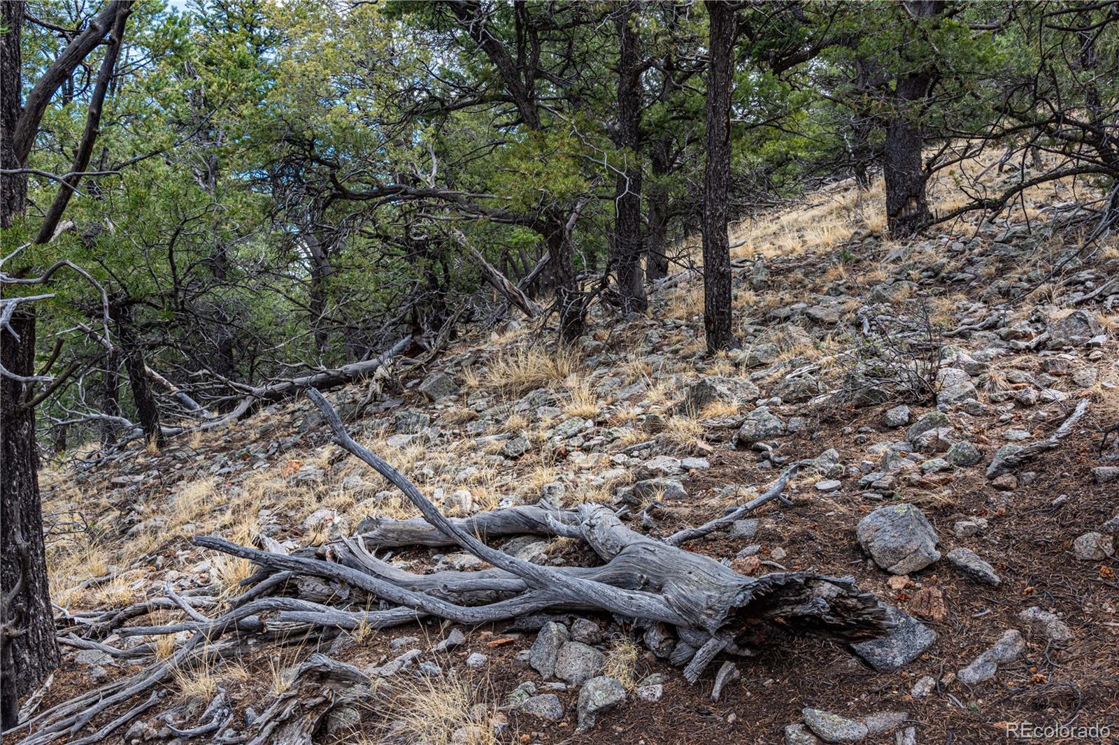 2126 E Path Cotopaxi CO 81223