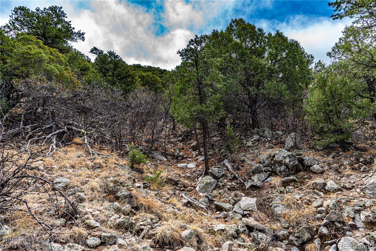 2126 E Path Cotopaxi CO 81223