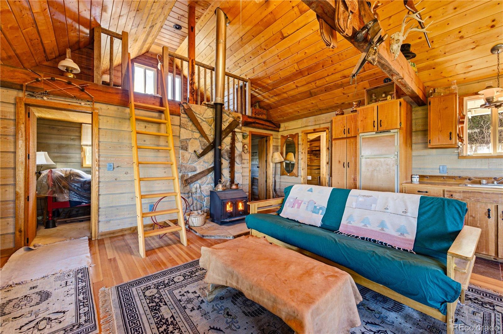 2126 E Path Cotopaxi CO 81223