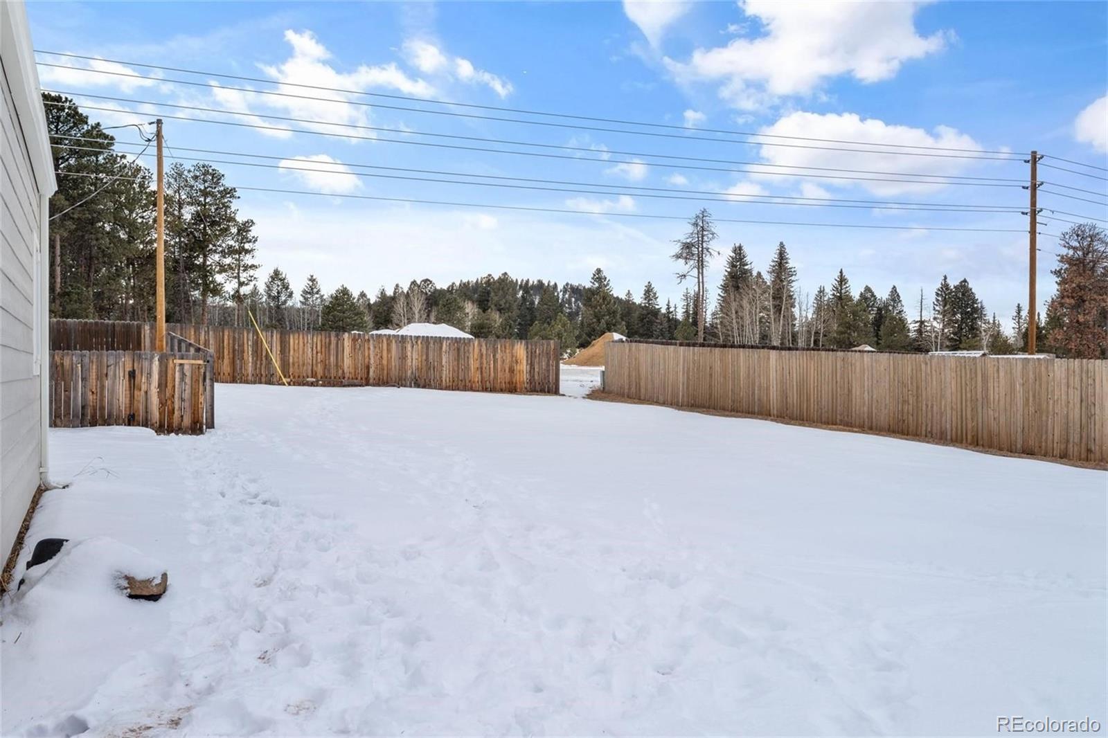 1060 Sundance Street Woodland Park CO 80863