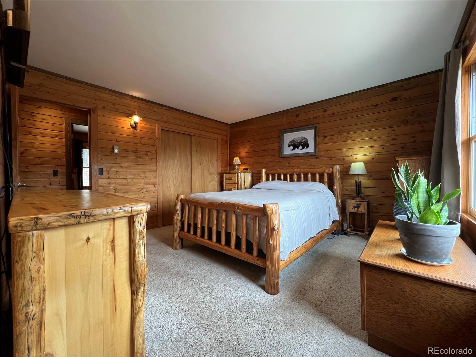 29529 Thunderbolt Circle Conifer CO 80433