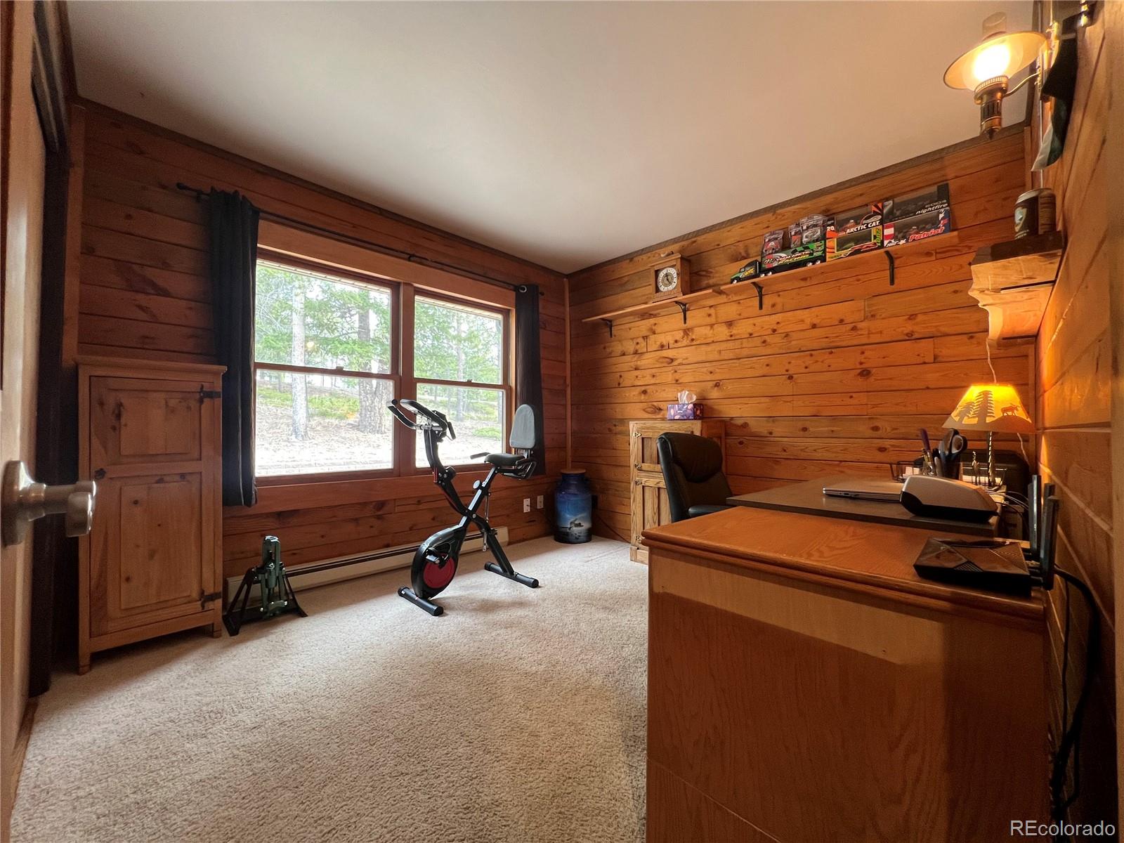 29529 Thunderbolt Circle Conifer CO 80433