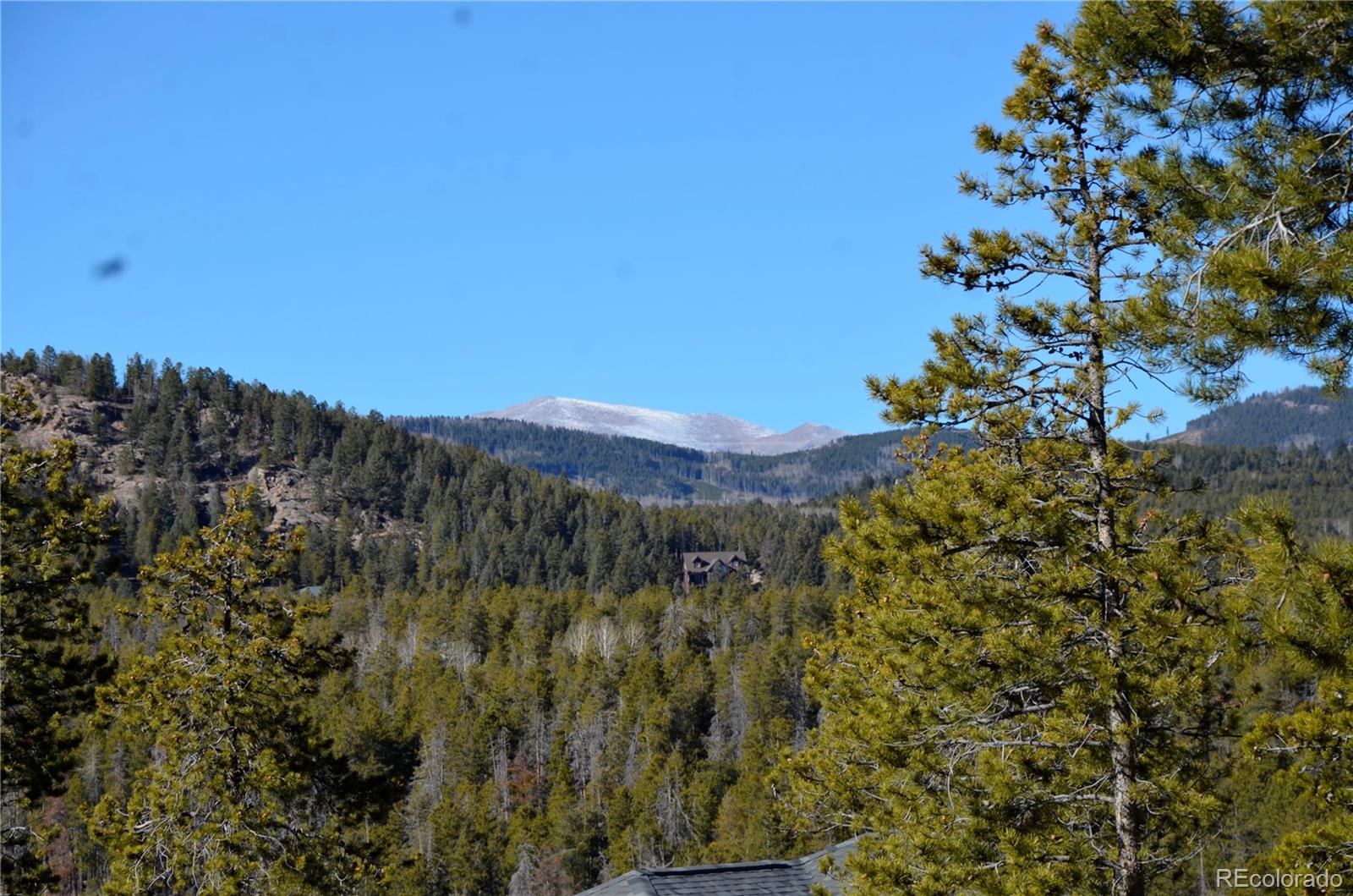 29529 Thunderbolt Circle Conifer CO 80433