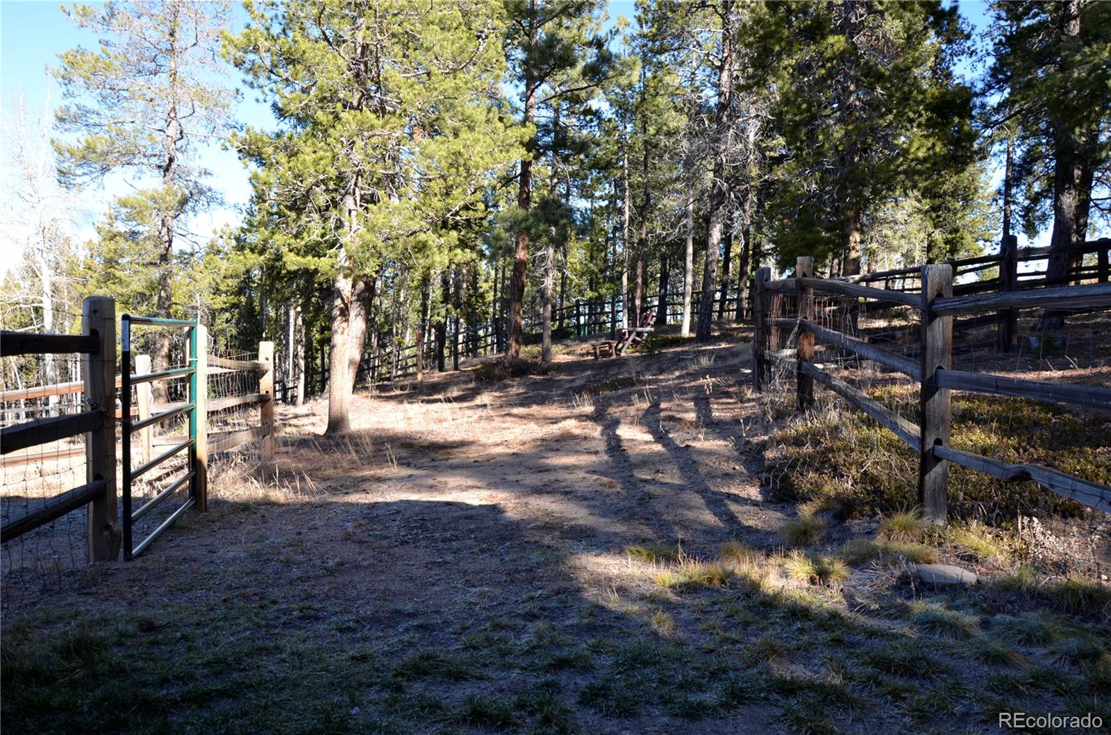 29529 Thunderbolt Circle Conifer CO 80433