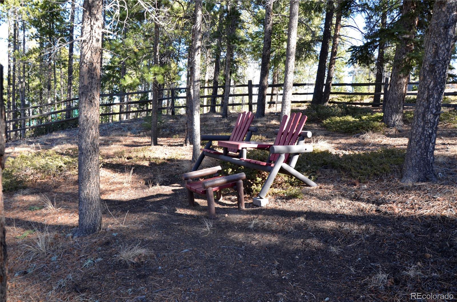 29529 Thunderbolt Circle Conifer CO 80433