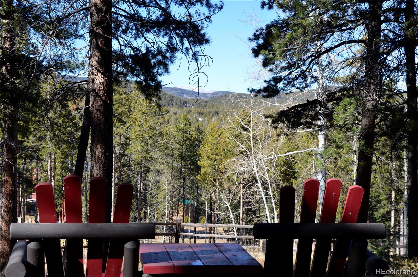 29529 Thunderbolt Circle Conifer CO 80433