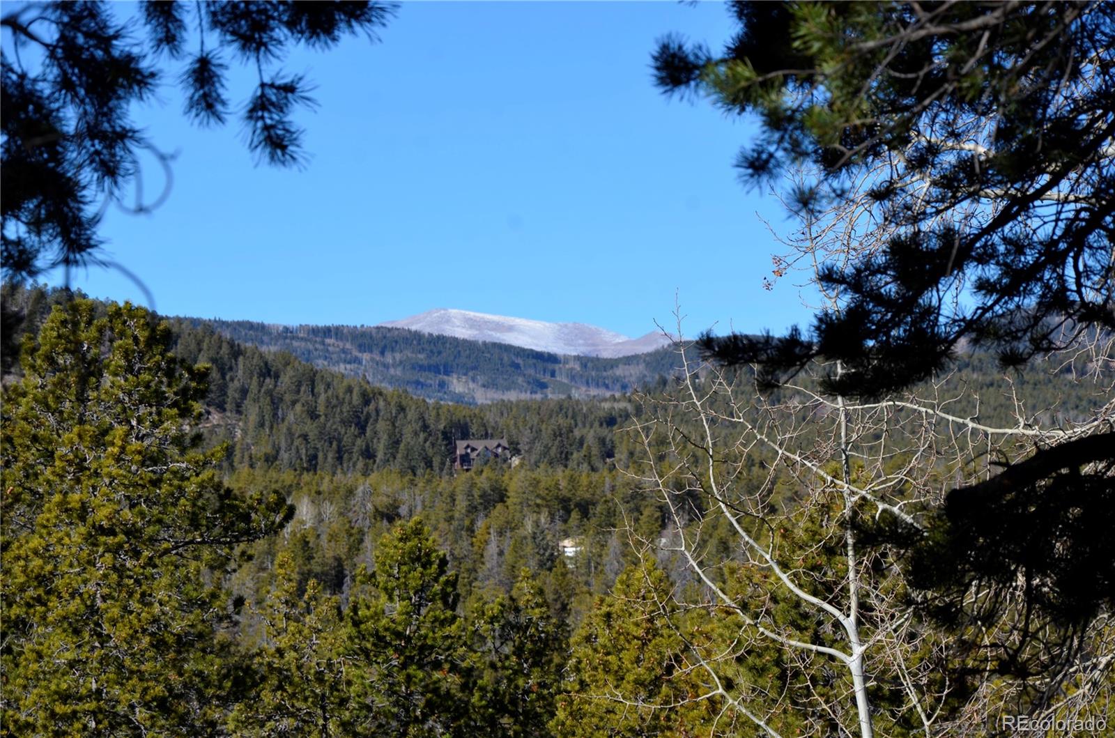 29529 Thunderbolt Circle Conifer CO 80433