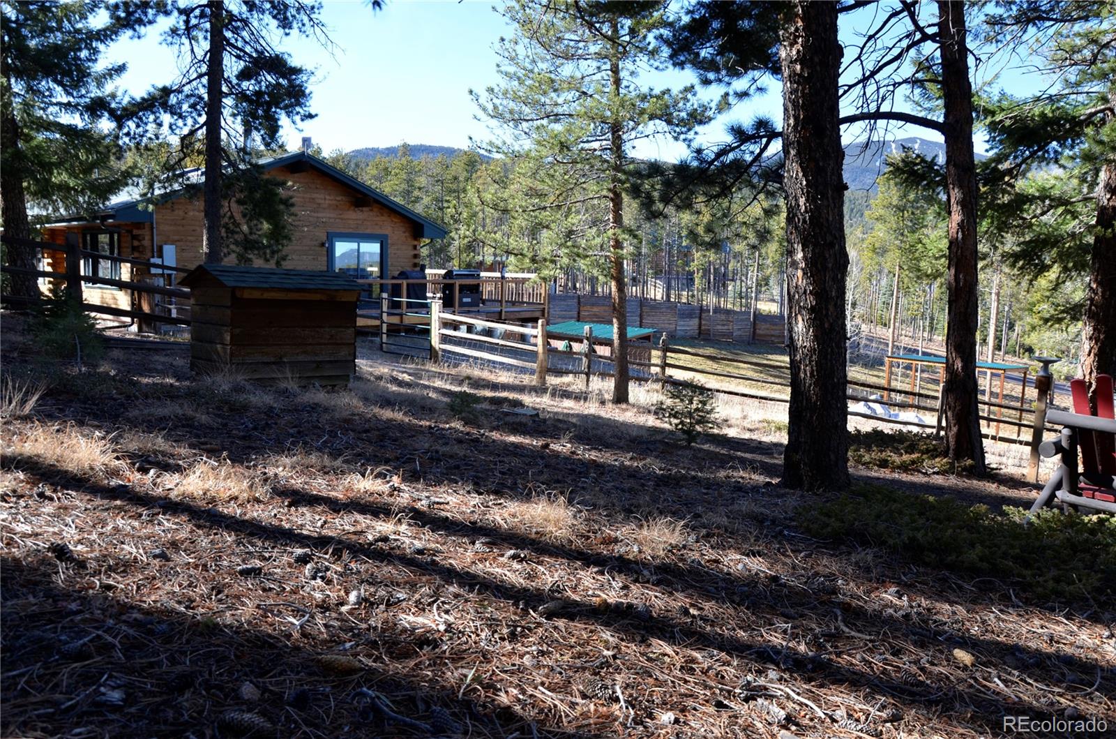 29529 Thunderbolt Circle Conifer CO 80433