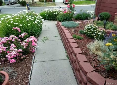 13168 W 62nd Drive Arvada CO 80004