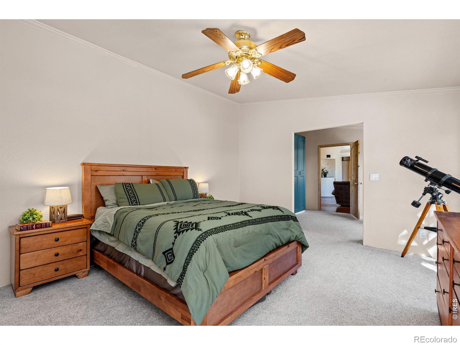 39 Mount Sherman Court Livermore CO 80536