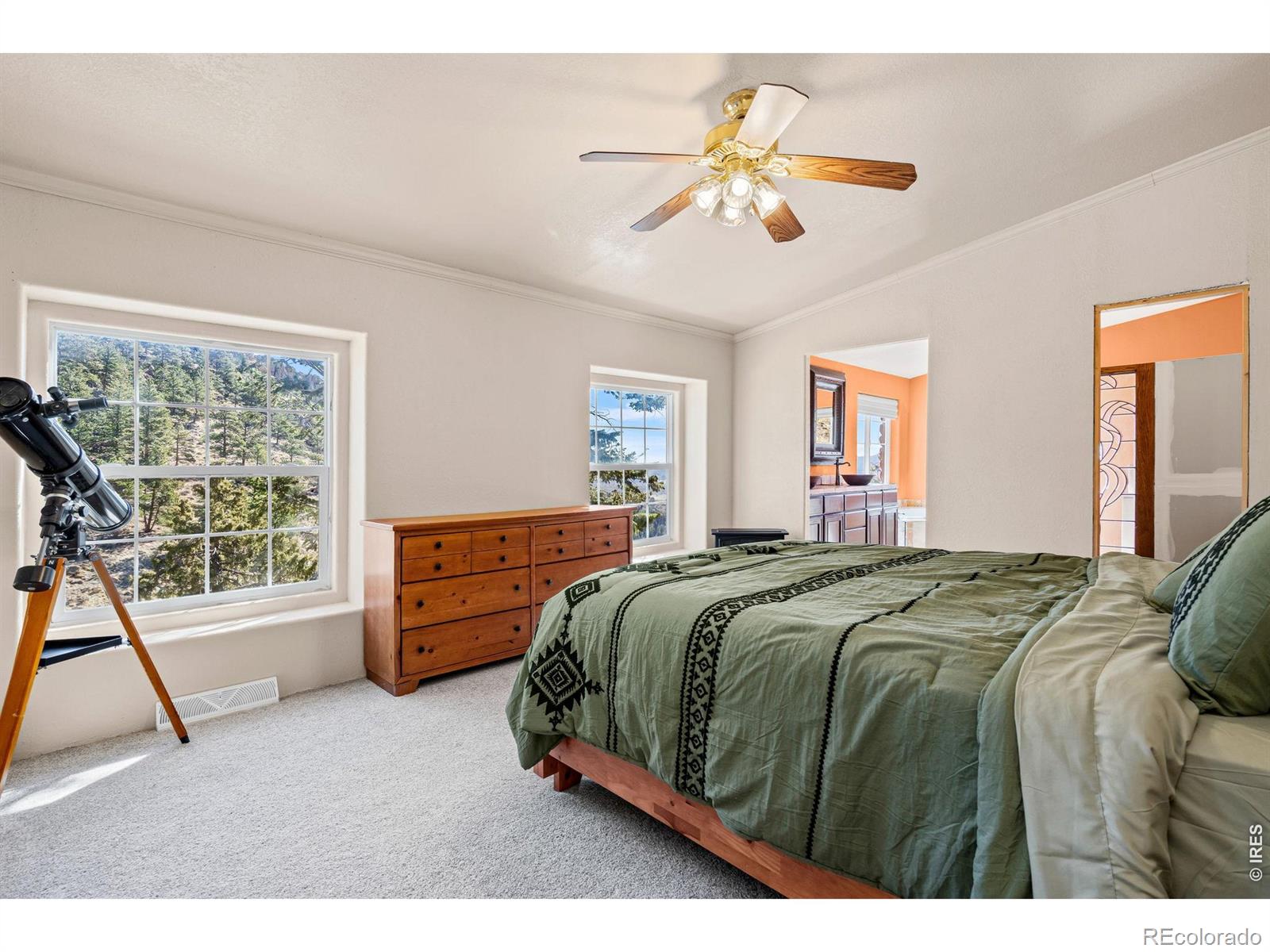39 Mount Sherman Court Livermore CO 80536