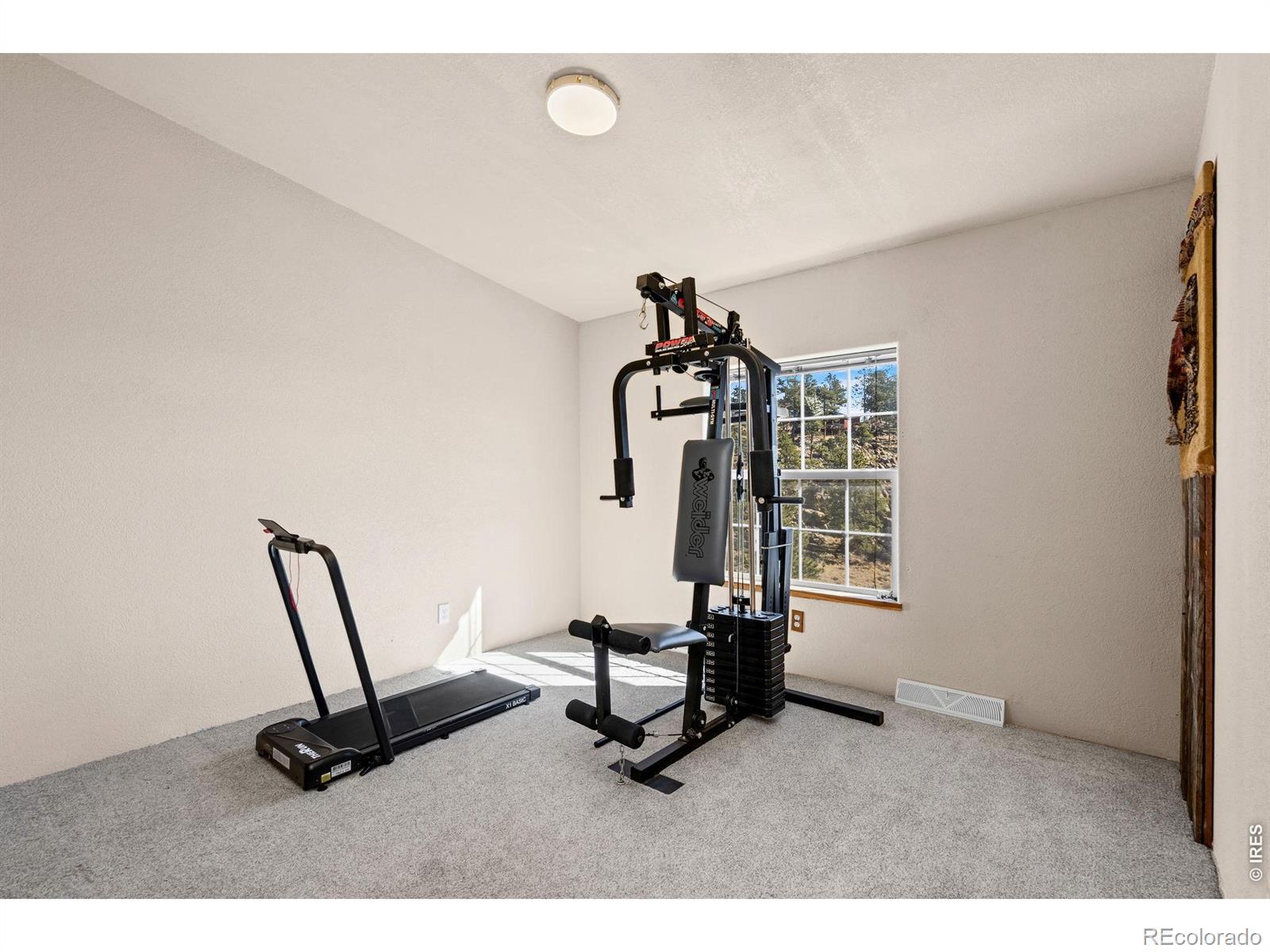 39 Mount Sherman Court Livermore CO 80536