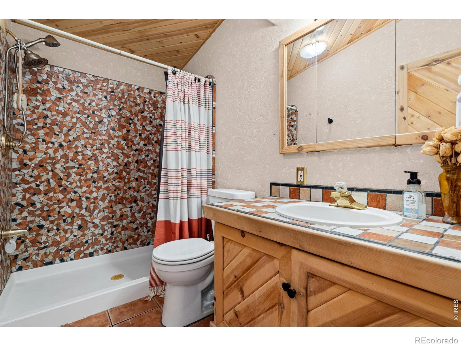 39 Mount Sherman Court Livermore CO 80536