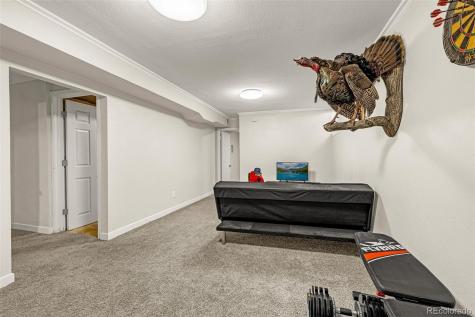 2522 Ivanhoe Drive Colorado Springs CO 80911