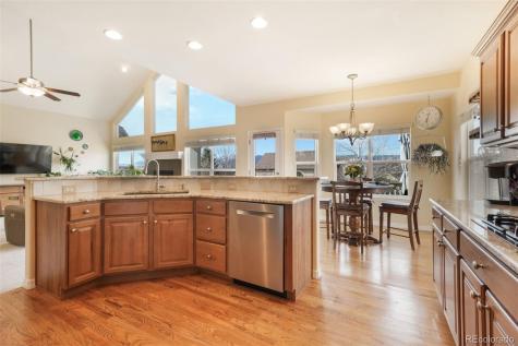 69 Saber Creek Drive Monument CO 80132