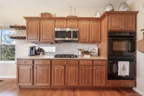 69 Saber Creek Drive Monument CO 80132