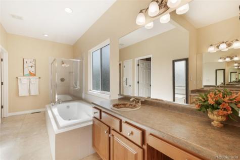 69 Saber Creek Drive Monument CO 80132