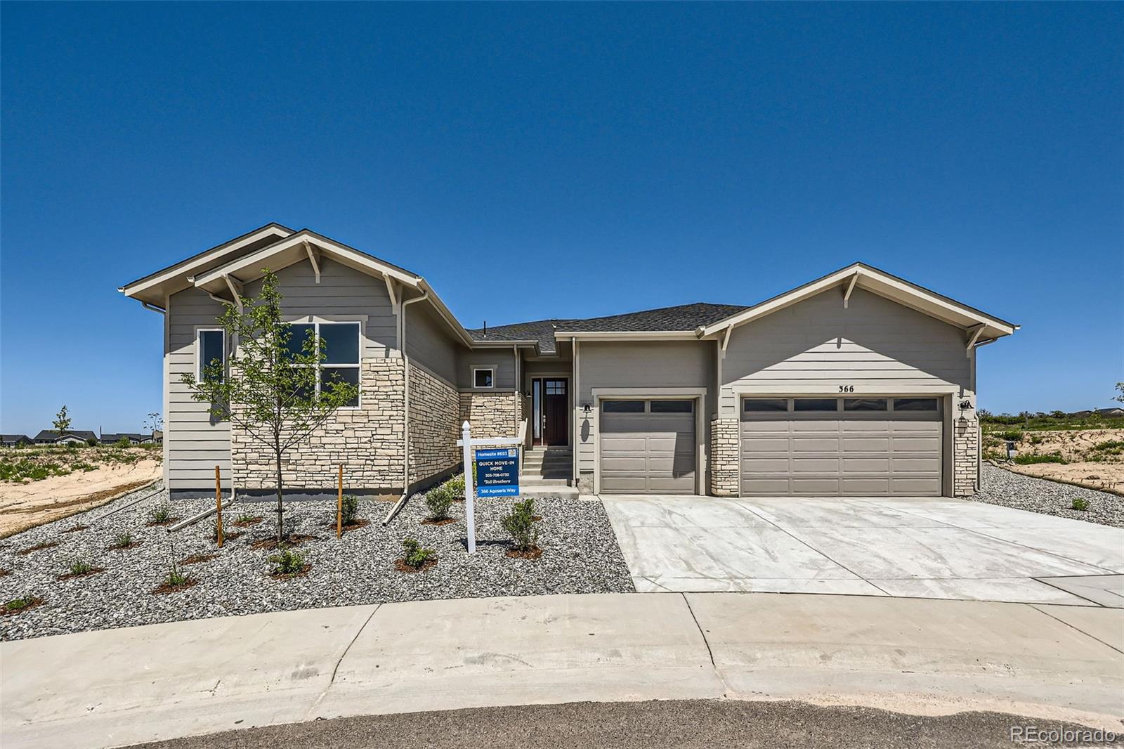 366 Agoseris Way Castle Rock CO 80104