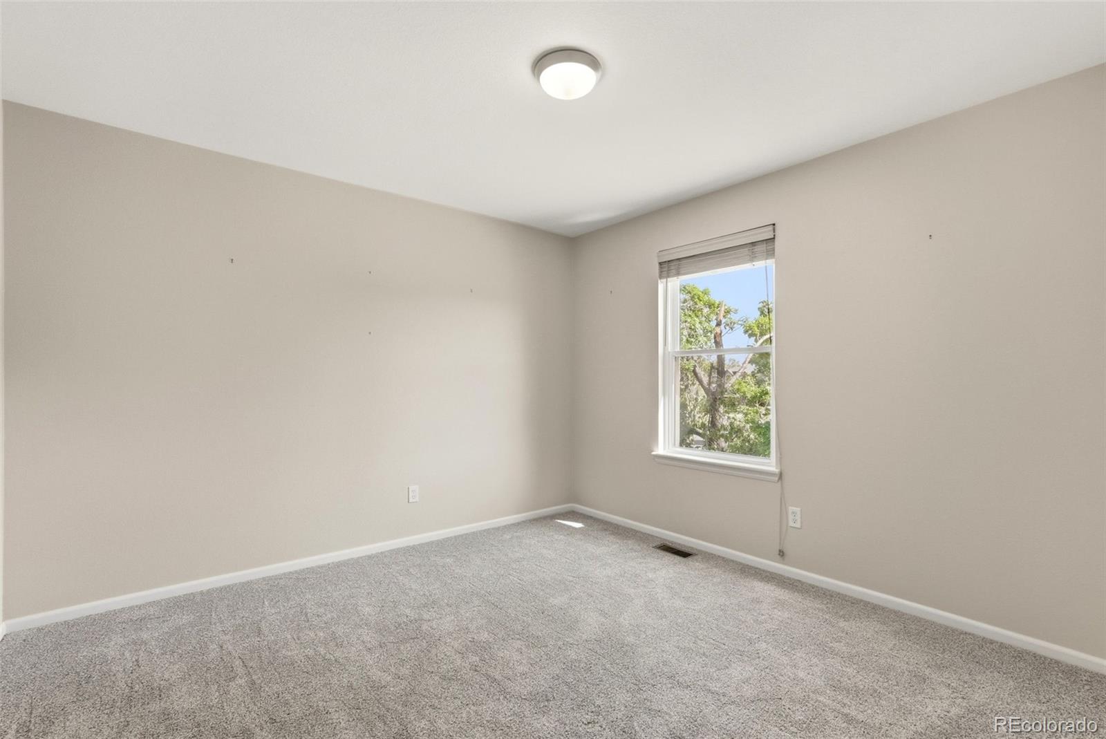 2977 Dickens Street Erie CO 80516