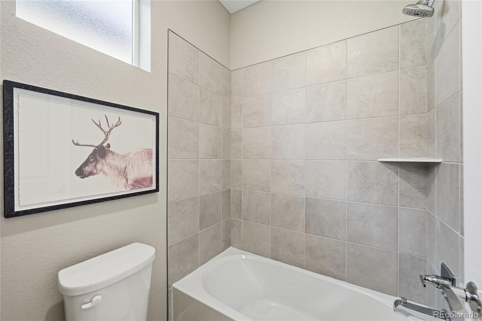 6167 N Dallas Way Denver CO 80238