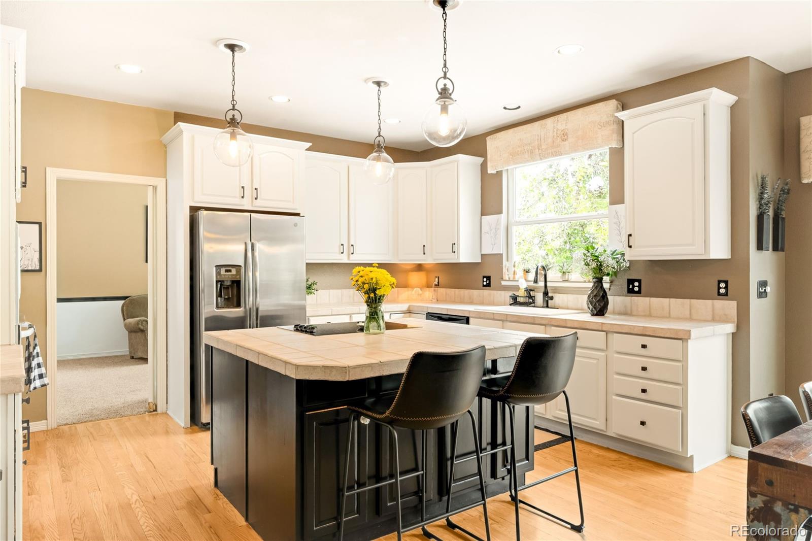 869 Shadowstone Drive Highlands Ranch CO 80129