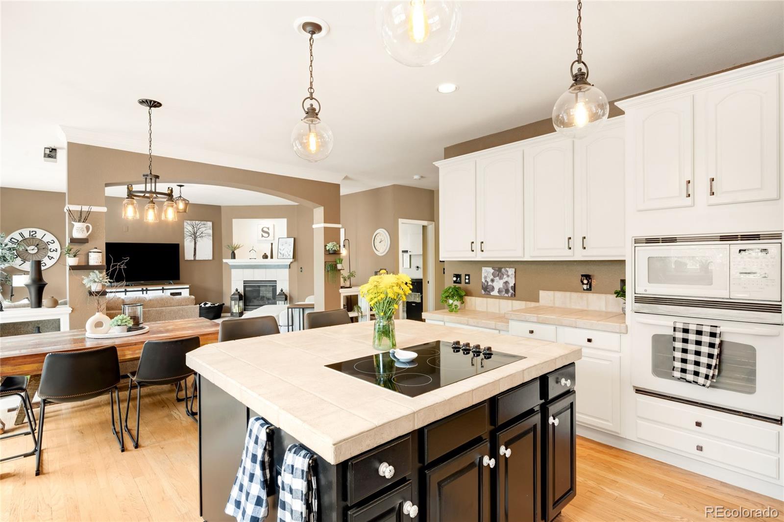 869 Shadowstone Drive Highlands Ranch CO 80129