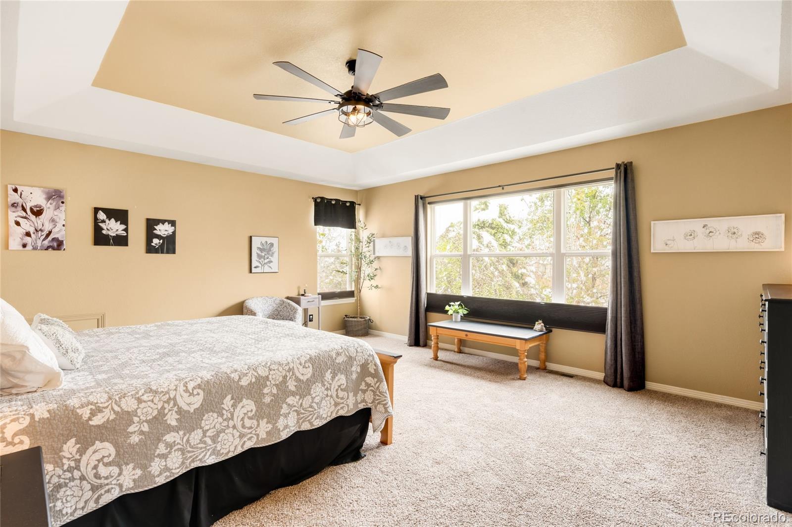 869 Shadowstone Drive Highlands Ranch CO 80129