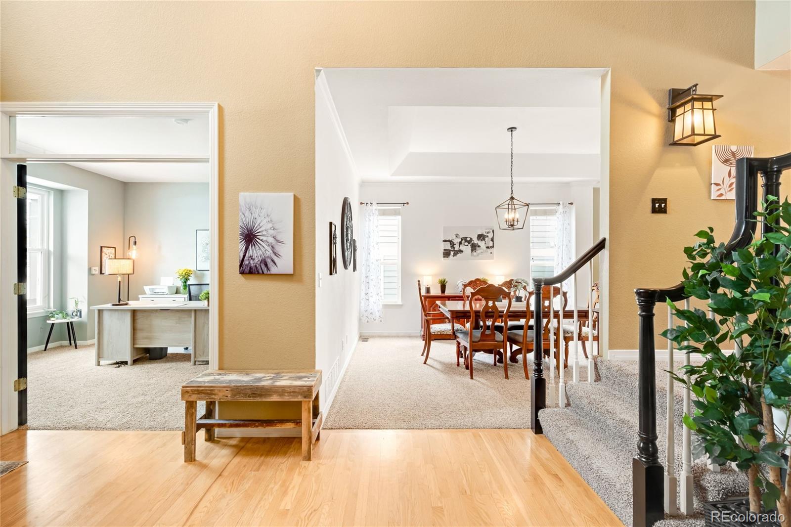 869 Shadowstone Drive Highlands Ranch CO 80129