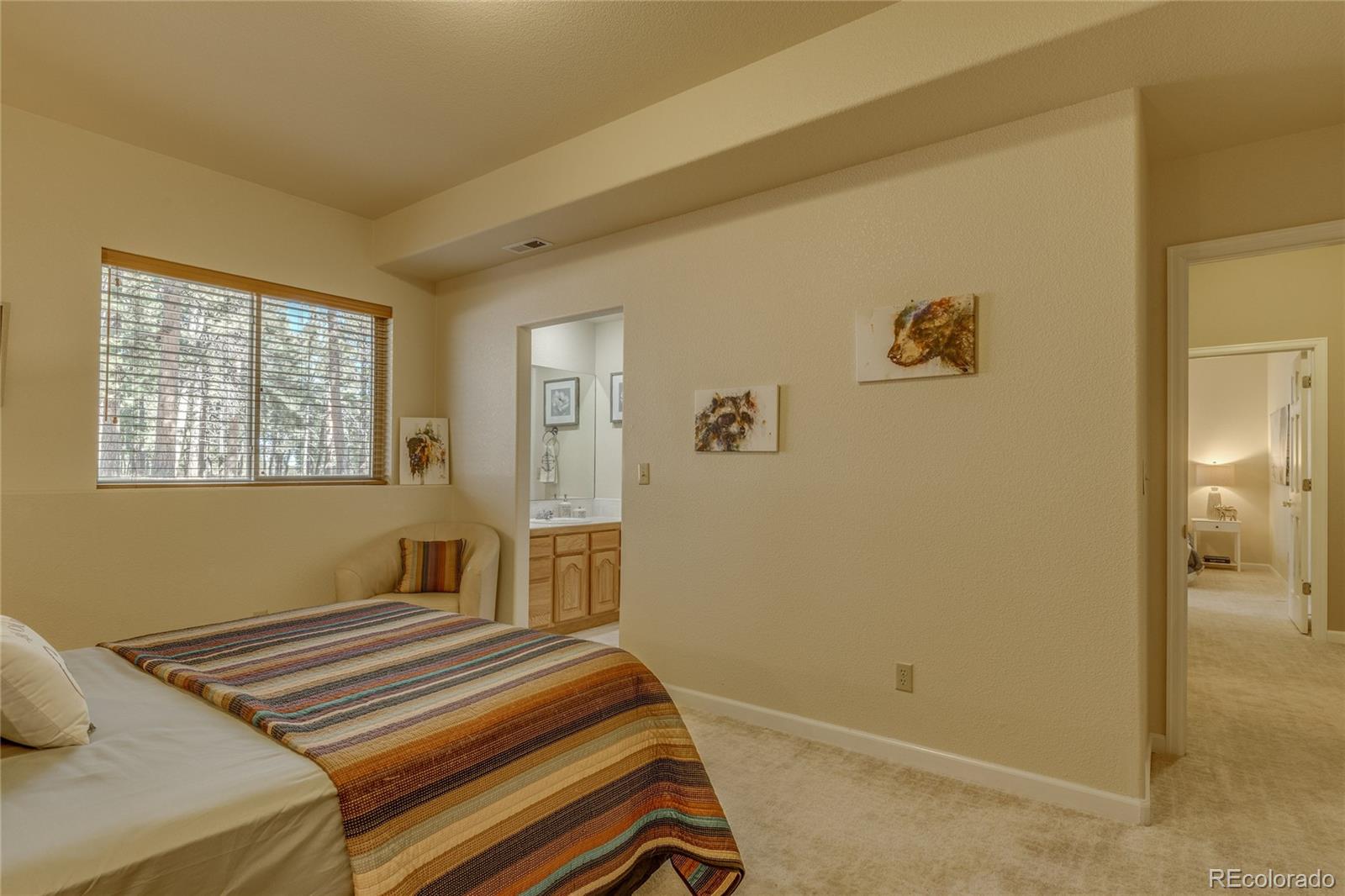 20320 Roaming Drive Colorado Springs CO 80908