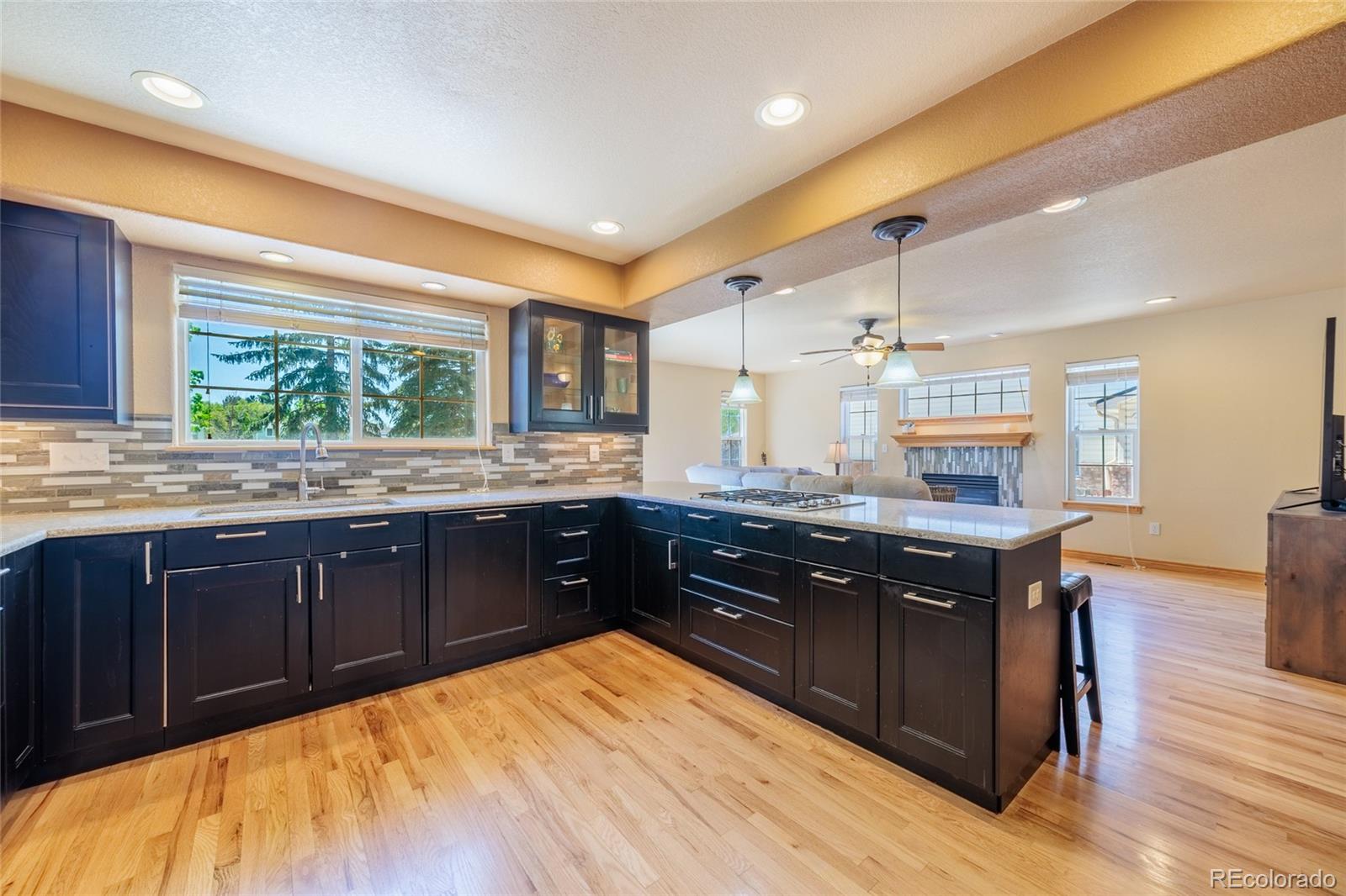 2513 Falcon Drive Longmont CO 80503