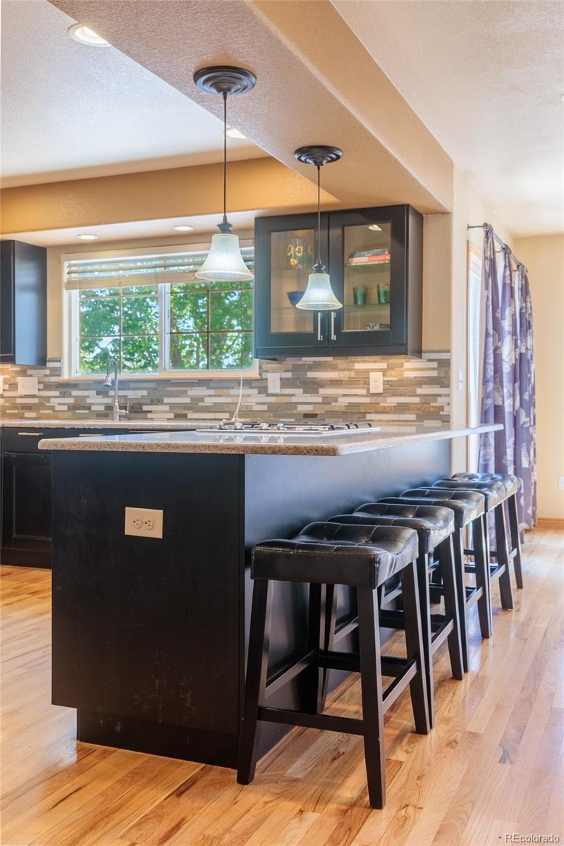 2513 Falcon Drive Longmont CO 80503