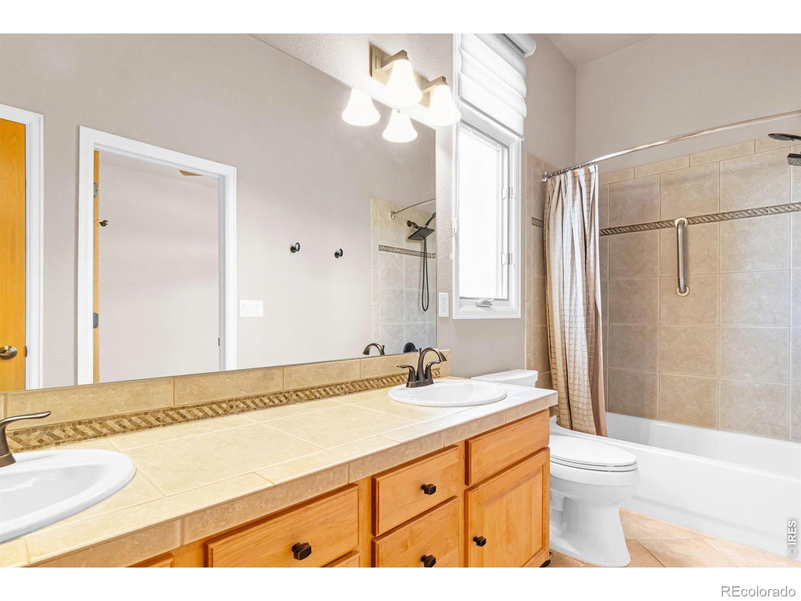 1532 Arroyo Drive Windsor CO 80550