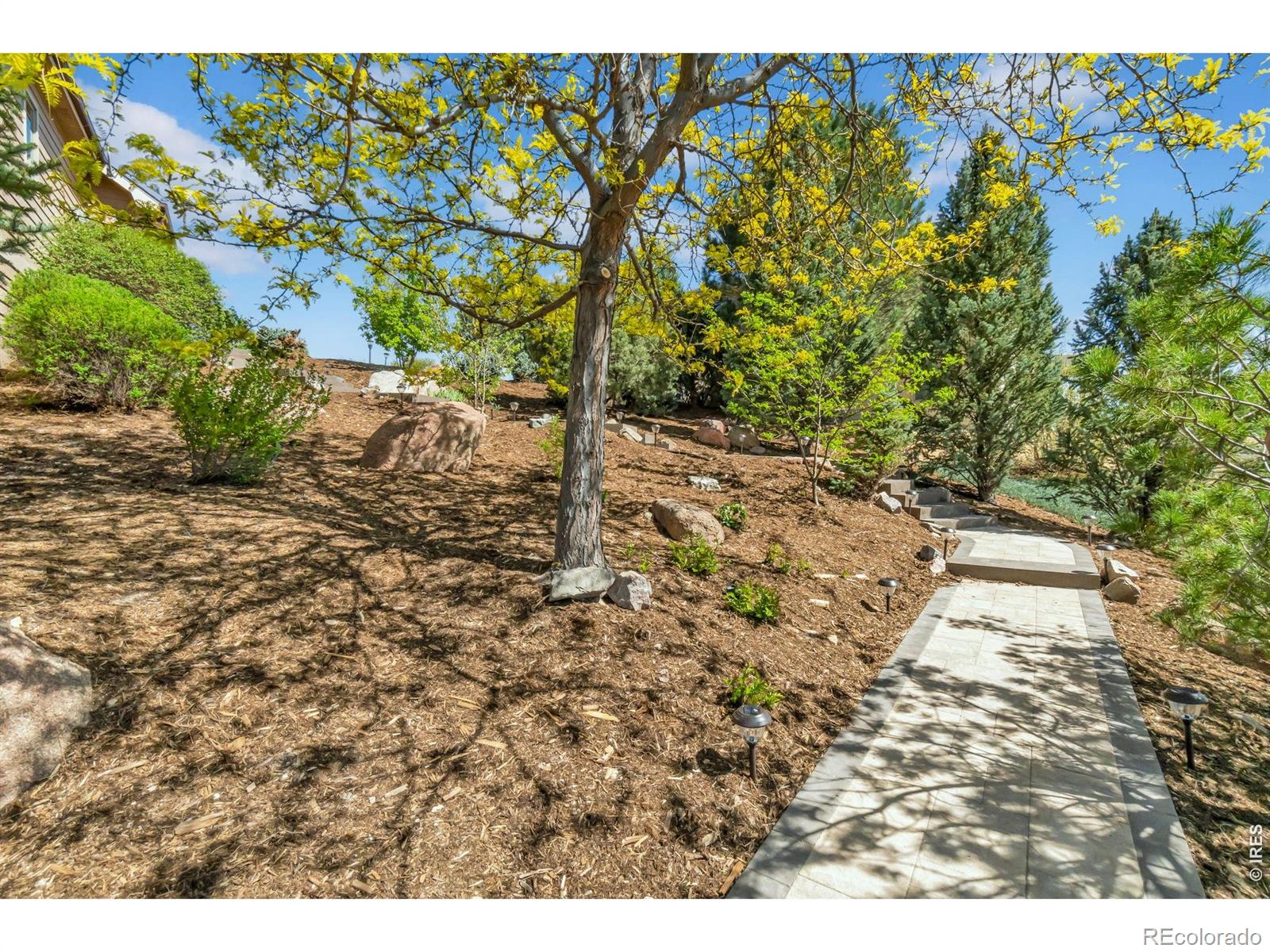 1532 Arroyo Drive Windsor CO 80550
