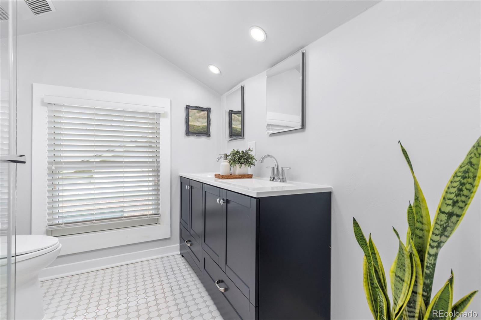 2257 Ivanhoe Street Denver CO 80207