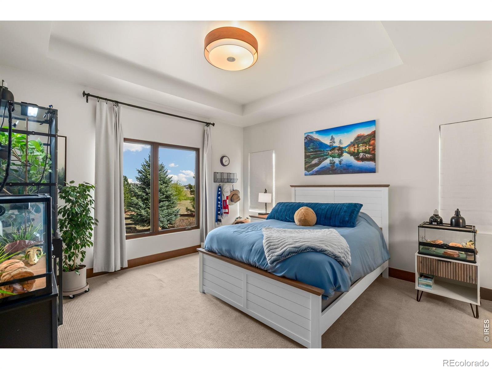3922 Ridgeline Drive Timnath CO 80547