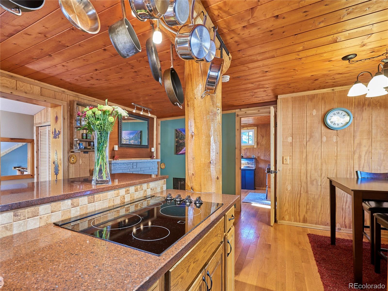 53 Wallens Place Black Hawk CO 80422