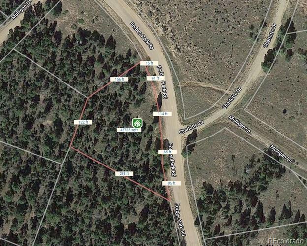 442 Forbes Park Road Fort Garland CO 81133