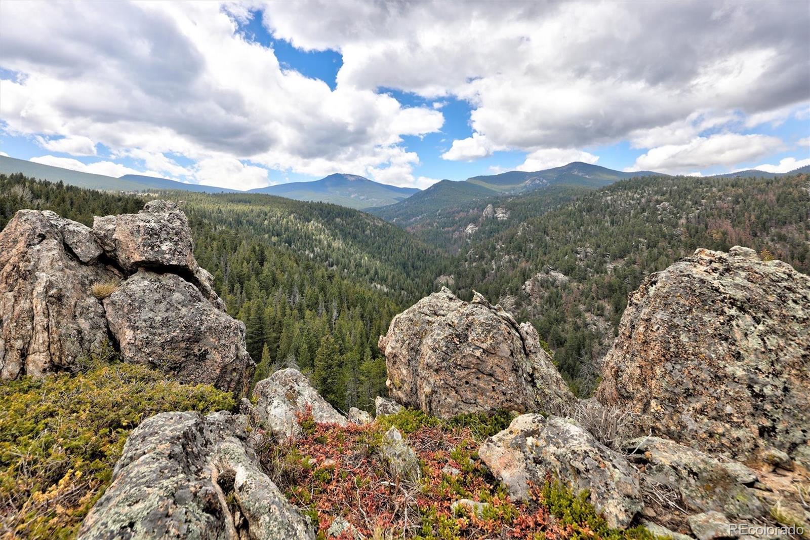 263 Barrows Ranch Road Evergreen CO 80439